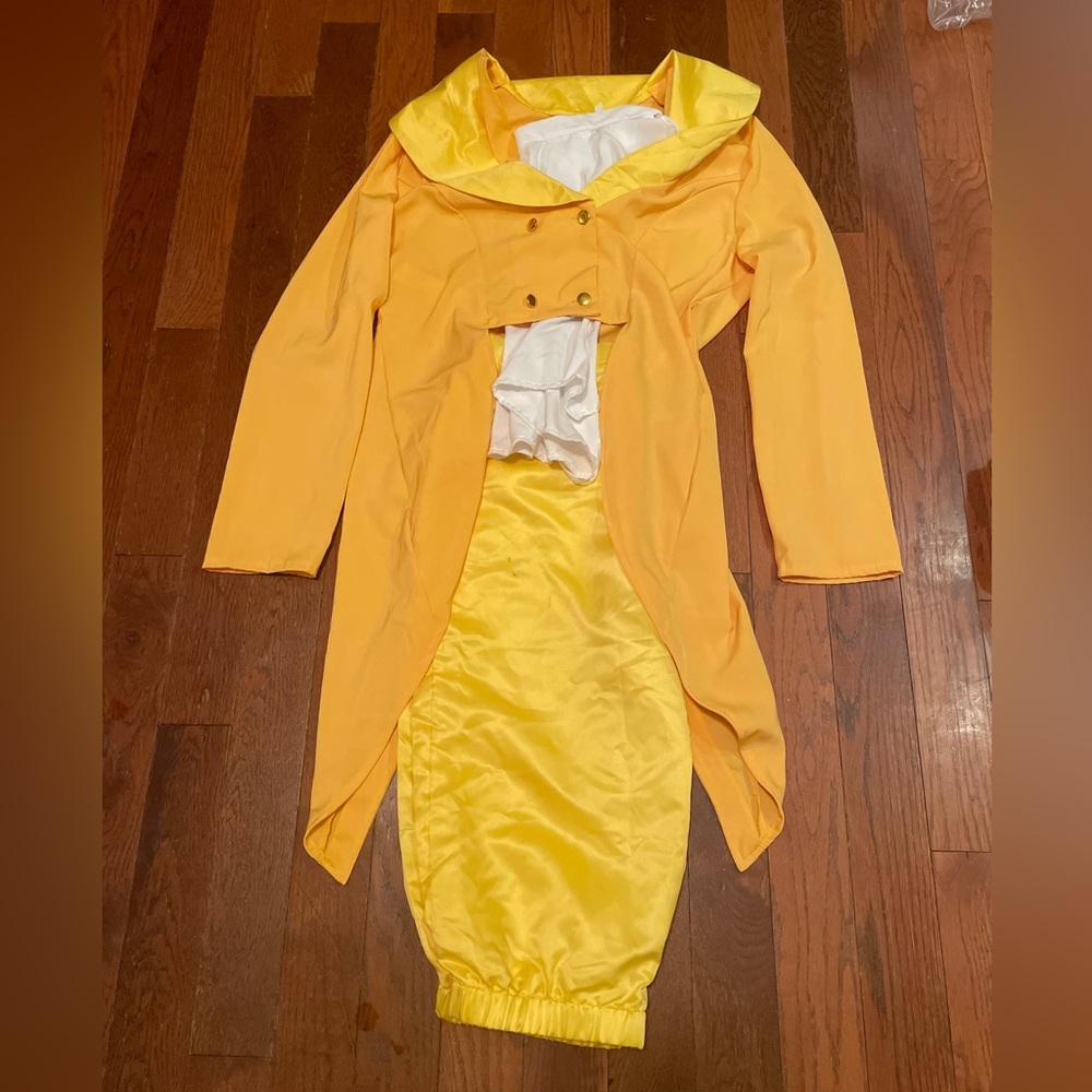 Disney Lumiere Costume
